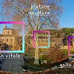 Domus Galla Placidia - Superlative View - 50 Meters From Unesco Heritage Sites - San Vitale - Galla Placidia